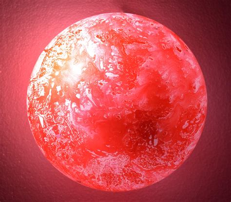 Buy CRAFTVERRE Colored Glass Ceiling Lamp/Light for Rooftop Living ...