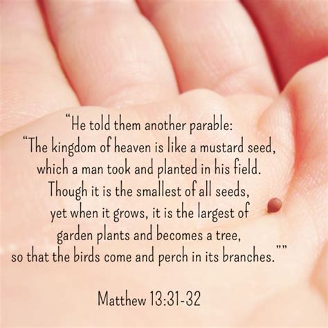 The Power of a Mustard Seed