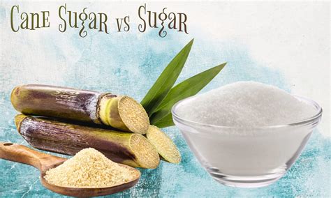 Cane Sugar vs Sugar: Which is Better? - The Coconut Mama
