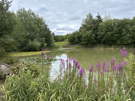 Two Debenham Walks | River Deben Association