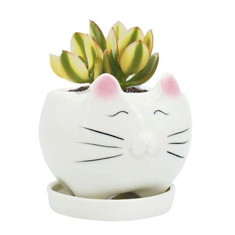 GeLive Cute Cat Succulent Planter Pot with Drainage Tray, White Ceramic ...