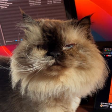 Image result for Peanuts Official Channel