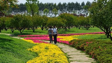CHENGDU BOTANICAL GARDEN - All You Need to Know BEFORE You Go 2026 ...