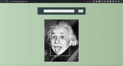 Image result for Web Dev Simplified Face Detection