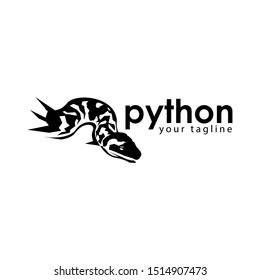 Python Black PNG 的图像结果