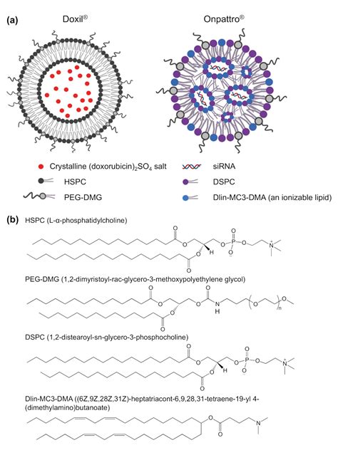 Lipid-Based Nanoparticles in the Clinic and Clinical Trials: From ...
