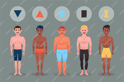 In Shape Mens Body Types
