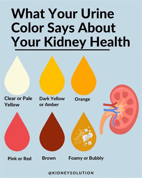KIDNEYSOLUTION | KIDNEY DISEASE | It’s crucial to be aware of these hidden dangers to your ...