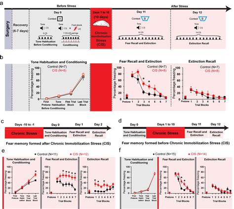 Extinction recall of fear memories formed before stress is not affected despite higher theta ...