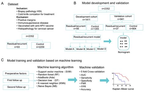 Cold Knife Cone Biopsy Procedure at Tyler Mcintyre blog