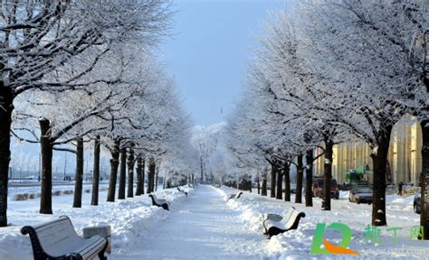 城市下雪唯美夜景 城市下雪唯美夜景大全jpg图片免费下载_编号vgeh5oxw1_图精灵