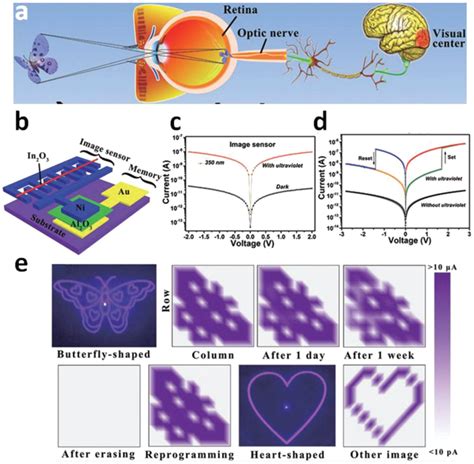 Image result for Drawn Example of Iconic Memory