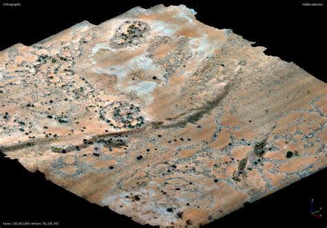 Photogrammetry 的图像结果