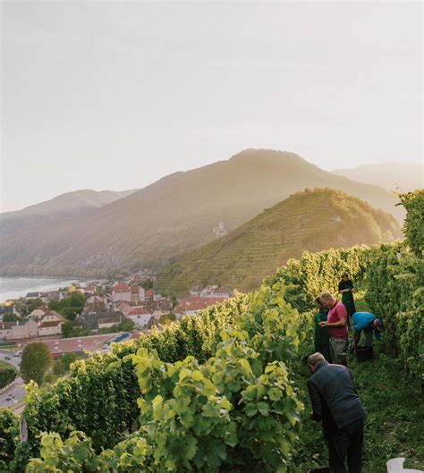 Austria Homes in on Terroir | Wine Spectator - food-beverage - Read ...