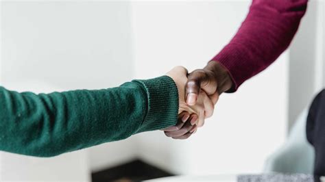 3 Learning Partner 的图像结果