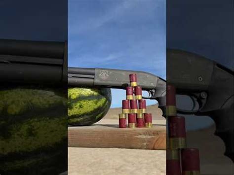 Image result for Do 12 Mini Shells