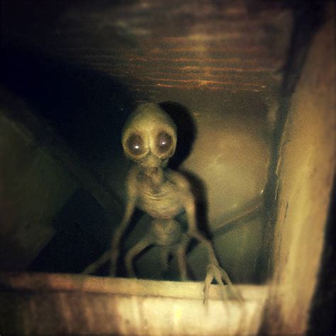 Image result for Alien in Basement