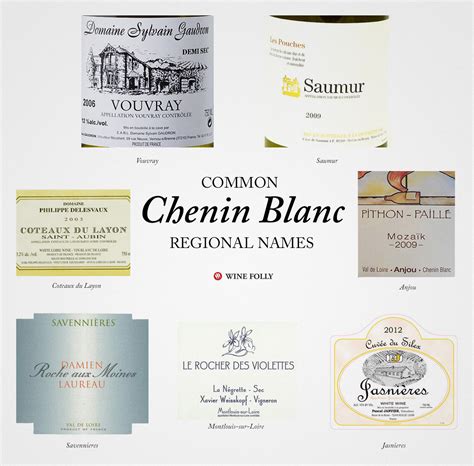 An Overview of French White Wines | Wine Folly