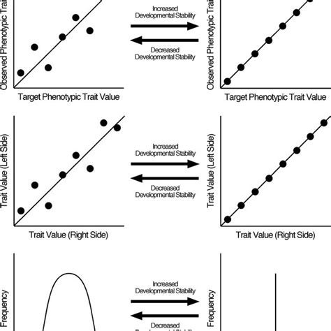 Image result for What iOS a Developmental Variation