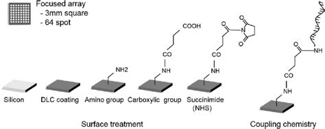 Microarray Plating 的图像结果