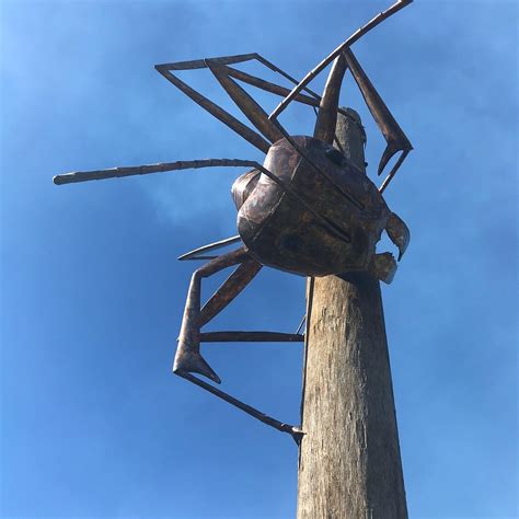 AUGATHELLA MEAT ANT PARK & GIANT MEAT ANT SCULPTURE (2026) All You Need ...