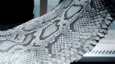 INVERSA Leathers Launches Invasive Python Leather at Lineapelle in ...