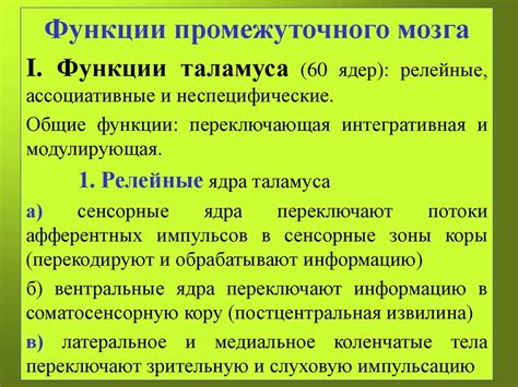 Функции промежуточного мозга - презентация онлайн