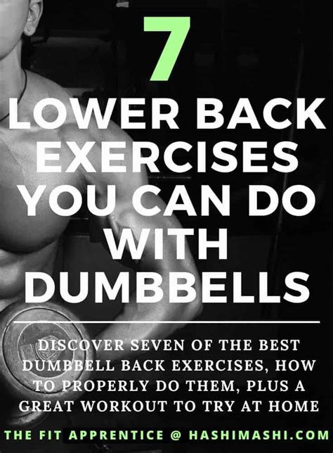 Image result for Daily Lower Back Exercises