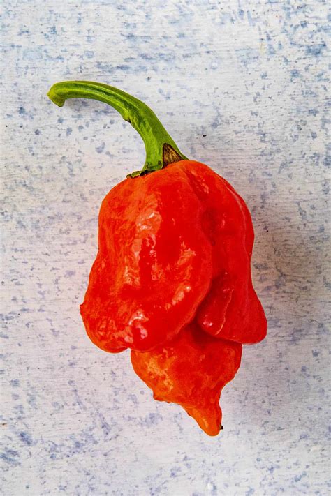 Scorpion Pepper Scoville