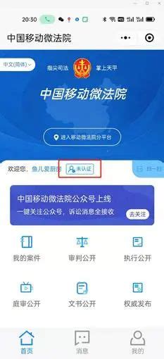 网上法庭官网app_云上法庭app-精品下载