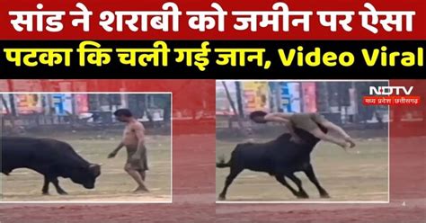 Bull Fight : सांड ने शराबी को जमीन पर ऐसा पटका कि चली गई जान, Video Viral