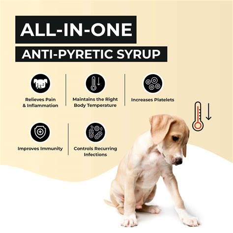 Fev Pet: Fever, Cough & Cold Relief Syrup For Dogs & Cats