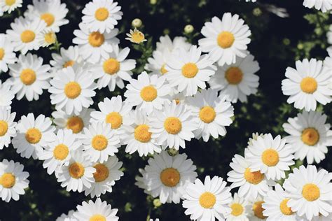 Image result for HTML Framework Practice