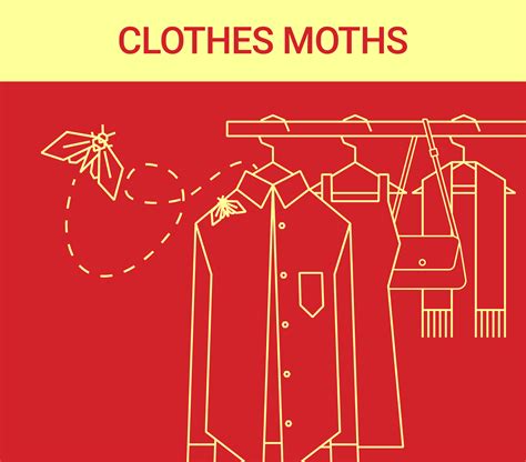 What You Need to Know About Clothes Moths - Dodson Pest Control