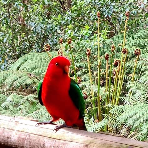BARRAMUNGA CABINS - Campground Reviews & Photos - Tripadvisor