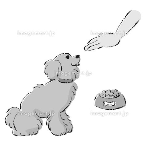 Image result for Java Programming Loops