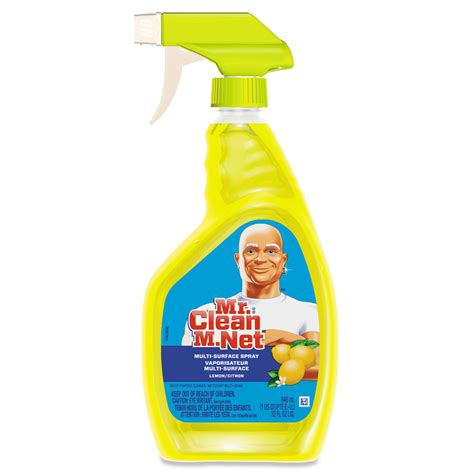 Mr. Clean® Multipurpose Cleaning Solution | CR Systems