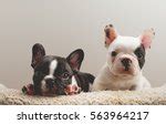 Image result for What Are Computer Model Examples