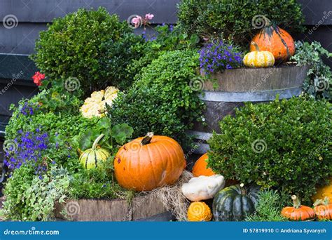 Fall Yard Decoration with Pumpkins and Flowers Stock Photo - Image of ...