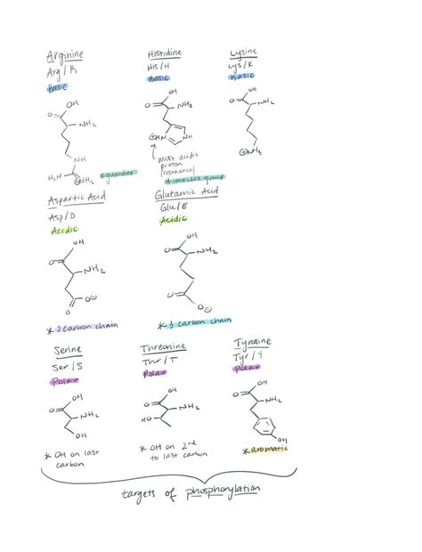MCAT Amino Acids quiz and what amino acids do you need to know for MCAT ...
