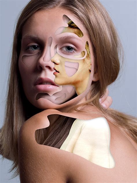 Create Collage Data Model 的图像结果