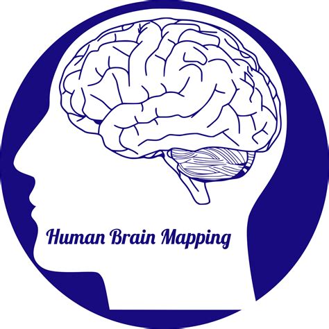Image result for Brain Mapping Research