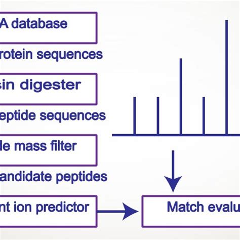 Image result for Database Search