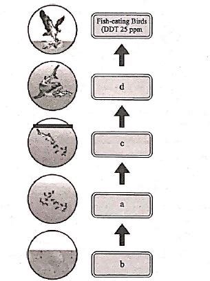 Recognise the figure and find out the correct matching