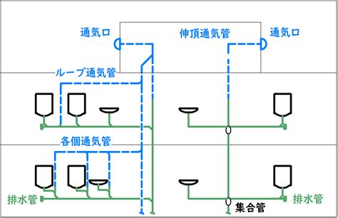 Image result for Complex Numbee Tree