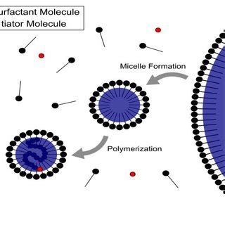 Image result for Emulsion Polymerization Mechanism