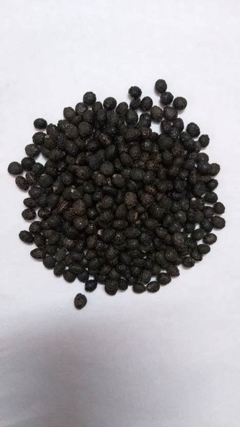 GCS Kantola Seeds Spiny Spine Gourd Seed Price in India - Buy GCS ...