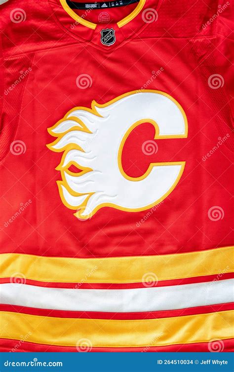 Calgary Flames Hockey 的图像结果