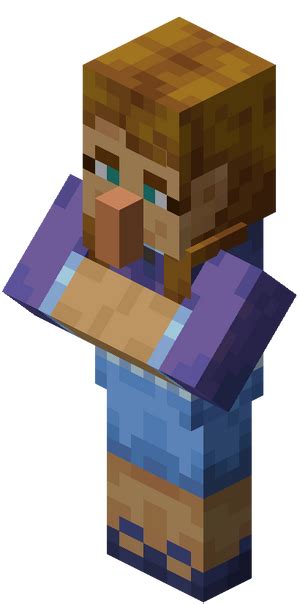 Minecraft NPC Java 的图像结果