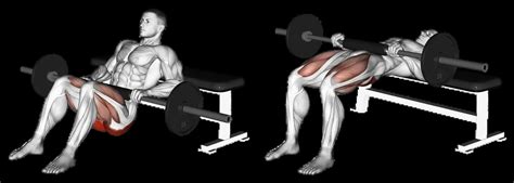 Barbell Hip Thrust: Guide, Muscles Worked, Tips | Athlemove